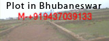 Info Colony